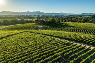 Single Family Residence,  Hardman avenue, Napa, CA 94558 - 67