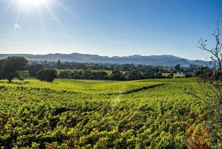 Single Family Residence,  Hardman avenue, Napa, CA 94558 - 65