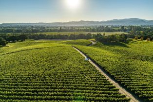 Single Family Residence,  Hardman avenue, Napa, CA 94558 - 68