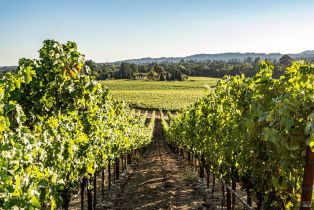 Single Family Residence,  Hardman avenue, Napa, CA 94558 - 13