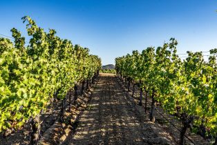 Single Family Residence,  Hardman avenue, Napa, CA 94558 - 11