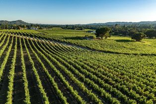 Single Family Residence,  Hardman avenue, Napa, CA 94558 - 10