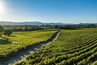 Single Family Residence,  Hardman avenue, Napa, CA 94558 - 66