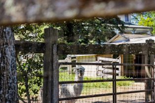 Single Family Residence,  Burndale road, Sonoma, CA 95476 - 34