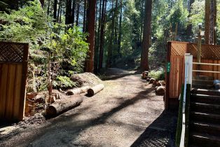 Single Family Residence, Cazadero highway, Russian River, CA 95421 - 19