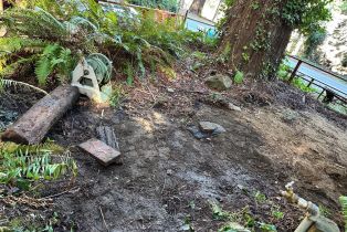 Single Family Residence, Cazadero highway, Russian River, CA 95421 - 20