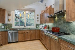 Single Family Residence,  Trailwood drive, Santa Rosa, CA 95404 - 19