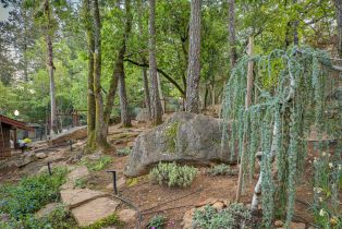 Single Family Residence,  Trailwood drive, Santa Rosa, CA 95404 - 64