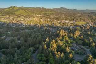 Single Family Residence,  Trailwood drive, Santa Rosa, CA 95404 - 82