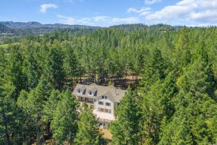 Single Family Residence,  Cold Springs road, Angwin, CA 94508 - 41