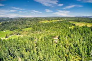 Single Family Residence,  Cold Springs road, Angwin, CA 94508 - 44