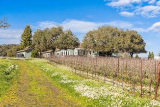 Single Family Residence, 920 Lytton Springs road, Healdsburg, CA 95448 - 29