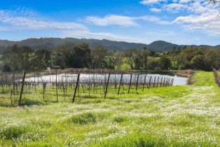 Single Family Residence, 920 Lytton Springs road, Healdsburg, CA 95448 - 52