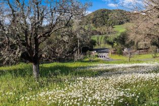 Single Family Residence, 920 Lytton Springs road, Healdsburg, CA 95448 - 54