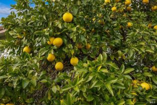 Single Family Residence, 920 Lytton Springs road, Healdsburg, CA 95448 - 45