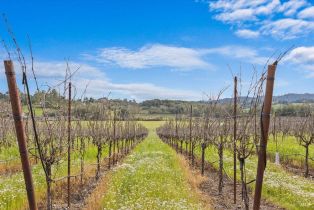 Single Family Residence, 920 Lytton Springs road, Healdsburg, CA 95448 - 48