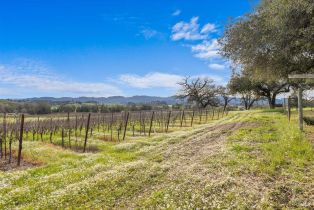 Single Family Residence, 920 Lytton Springs road, Healdsburg, CA 95448 - 47