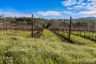 Single Family Residence, 920 Lytton Springs road, Healdsburg, CA 95448 - 53