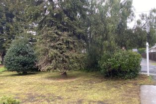 Single Family Residence,  Apple Tree court, Sonoma, CA 95476 - 8