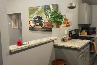 Single Family Residence,  Old Cazadero road, Russian River, CA 95446 - 9