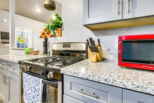 Single Family Residence,  Old Cazadero road, Russian River, CA 95446 - 10