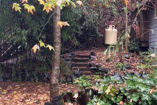 Single Family Residence,  Old Cazadero road, Russian River, CA 95446 - 18