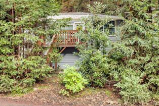 Single Family Residence,  Old Cazadero road, Russian River, CA 95446 - 3
