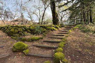 Single Family Residence,  Sky Oaks drive, Angwin, CA 94508 - 4