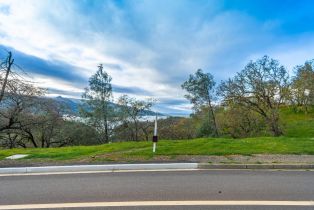 Residential Lot,  Steele Canyon road, Napa, CA 94558 - 13