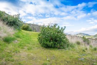 Residential Lot,  Mulford drive, Napa, CA 94558 - 28