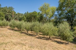 Single Family Residence,  Chalk Hill road, Healdsburg, CA 95448 - 37