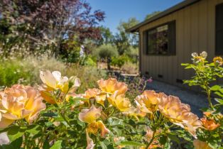 Single Family Residence,  Chalk Hill road, Healdsburg, CA 95448 - 10