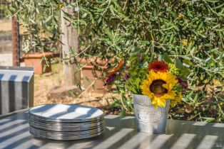 Single Family Residence,  Chalk Hill road, Healdsburg, CA 95448 - 52