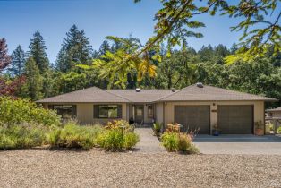 Single Family Residence,  Chalk Hill road, Healdsburg, CA 95448 - 8
