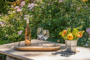 Single Family Residence,  Chalk Hill road, Healdsburg, CA 95448 - 45