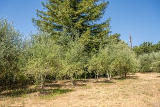 Single Family Residence,  Chalk Hill road, Healdsburg, CA 95448 - 55