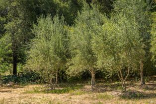 Single Family Residence,  Chalk Hill road, Healdsburg, CA 95448 - 56