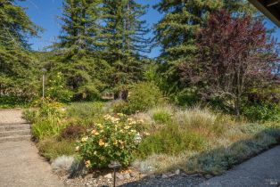 Single Family Residence,  Chalk Hill road, Healdsburg, CA 95448 - 11