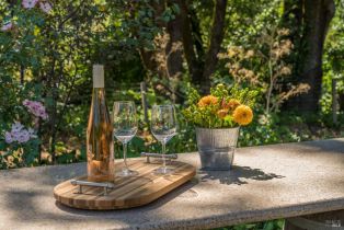 Single Family Residence,  Chalk Hill road, Healdsburg, CA 95448 - 42