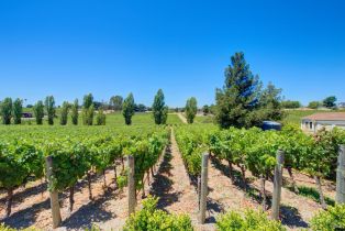 Single Family Residence,  Estee avenue, Napa, CA 94558 - 10