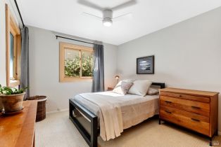 Single Family Residence,  High street, Calistoga, CA 94515 - 37