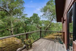 Single Family Residence,  1st avenue, Napa, CA 94558 - 45