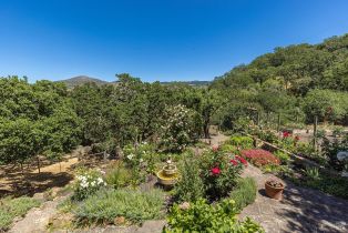 Single Family Residence,  1st avenue, Napa, CA 94558 - 49