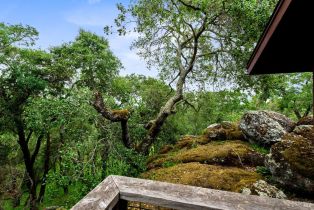 Single Family Residence,  1st avenue, Napa, CA 94558 - 46