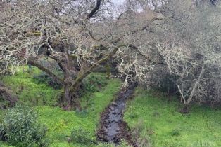 Single Family Residence,  Yerba Buena road, Santa Rosa, CA 95409 - 17