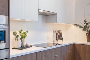 Single Family Residence,  Escalon drive, Sonoma, CA 95476 - 15