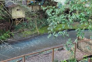 Single Family Residence,  Old Cazadero road, Russian River, CA 95446 - 28