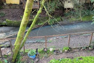 Single Family Residence,  Old Cazadero road, Russian River, CA 95446 - 27