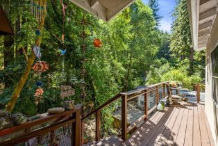 Single Family Residence,  Old Cazadero road, Russian River, CA 95446 - 24