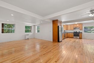 Single Family Residence,  Old Cazadero road, Russian River, CA 95446 - 8